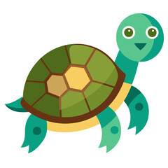 turtle on a white