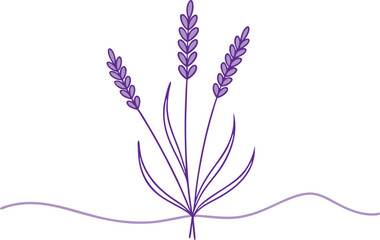 Artistic Line Drawing of Lavender Nature's Serenity in Minimalist Style