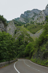 curved forest road in the mountains 