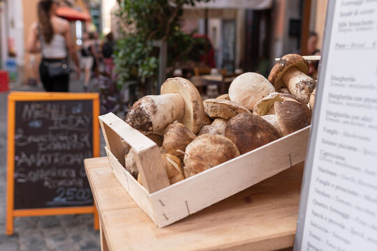 Boletus aereus displayed in a Restaurant in the Trastevere District in Rome