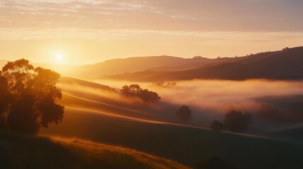 Fototapeta premium Misty Sunrise Over Rolling Hills with Silhouetted Trees