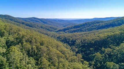 Obraz premium A panoramic view of a lush green valley, with rolling hills in the background, under a clear blue sky.