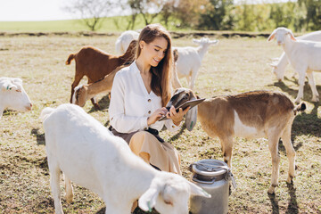 Young Woman In Pastoral Setting Using Tablet While Surrounded By Curious Goats On A Sunny Day