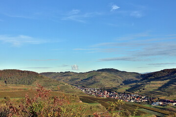 Fototapeta premium Oberbergen im Kaiserstuhl zwischen Weinbergen