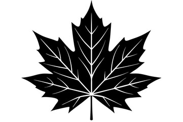 Canadian maple leaf black silhouette vector, maple leaf icon