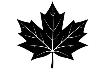 Obraz premium Canadian maple leaf black silhouette vector, maple leaf icon