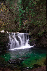 Fototapeta premium waterfall in the forest