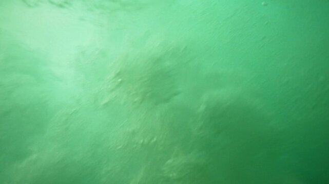 Surfing wave in Bali island. Ocean wave clear water. Uluwatu famous surf destination in Indonesia. Adventure travel. Slow motion.