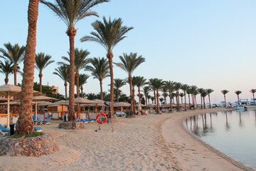 View of tropical resort with palm trees sand and sandy beach. Vacations concept