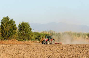 Obraz premium A tractor prepares a ploughed field for winter planting