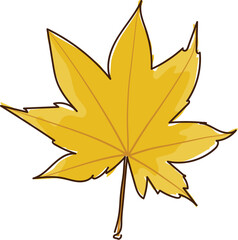 Illustration of an autumn leaf from a tree in yellow isolated on a white background.Illustration in ink hand drawn style.
