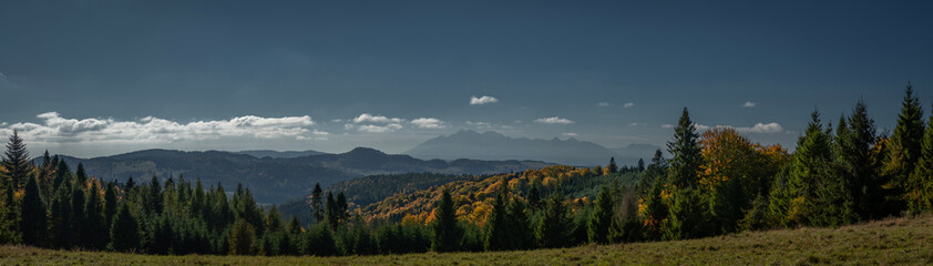 Nice autumn meadows and forests in sunny color day near Jaworki village