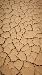 Cracked desert ground with deep fissures and sandy brown color