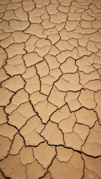 Cracked desert ground with deep fissures and sandy brown color