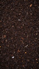 Fototapeta premium Lush garden bed with dark rich mulch in varying brown hues