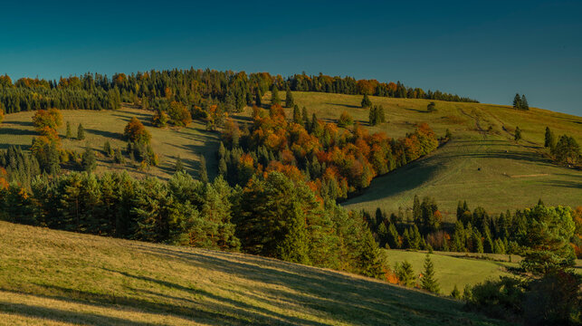 View for valley in autumn color evening near Jaworki Poland