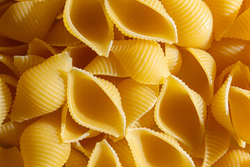 Uncooked Conchiglie Pasta: A Culinary Canvas of Conchiglie Macaroni, Creating a Lively and Textured...