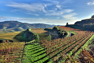 Weinberge im Kaiserstuhl im Herbst