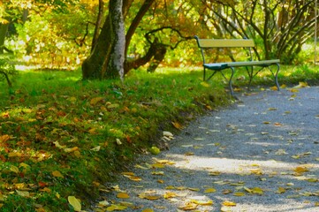 Wooden bench in the park with path full of autumn leaves