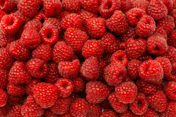 Tasty fresh raspberry as a background.