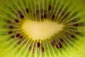 A kiwi fruit with pits taken in close-up on a white background. the texture of the kiwi fruit