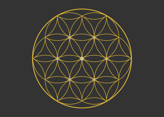flower of life gold line color vector for background wallpaper template decoration symbol 