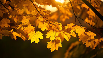 yellow leaves flutter sunlight caught gentle breeze delicate edges