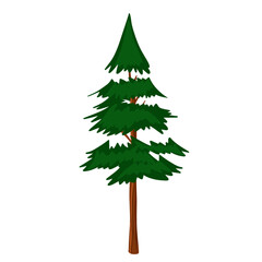 Isolated pine tree kids cartoon nature landscape
