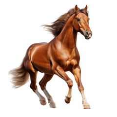 A majestic brown horse galloping with a flowing mane, showcasing