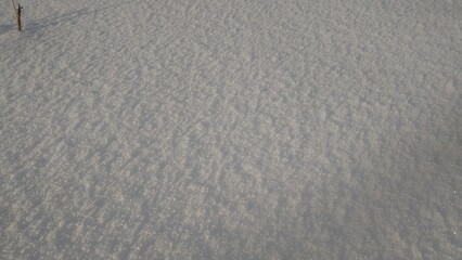 Obraz premium Just snow