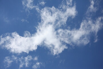 ochrona środowiska, zaraza, skażenie, przyroda, ekologia, nie odpowiedzialność, brud,...