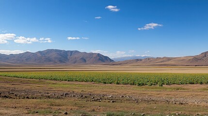 A vast field of sunflowers in a rural valley, with mountains in the distance under a blue sky.