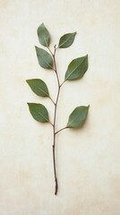 Fresh Green Leaves on Branch Isolated on Soft Background
