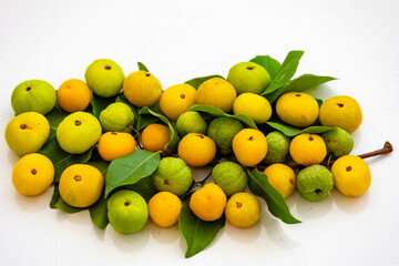 Ripe edible wild fruit from the Brazilian cerrado biome, fruit known as cagaita (Stenocalyx dysentericus) of the Magnoliopsida class and the Myrtaceae family.