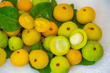 Ripe edible wild fruit from the Brazilian cerrado biome, fruit known as cagaita (Stenocalyx dysentericus) of the Magnoliopsida class and the Myrtaceae family.