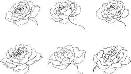 Set of Modern Peony Single Line Drawing for Minimalist Decor