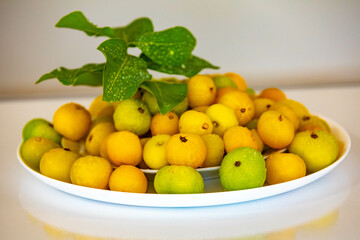 Ripe edible wild fruit from the Brazilian cerrado biome, fruit known as cagaita (Stenocalyx dysentericus) of the Magnoliopsida class and the Myrtaceae family.