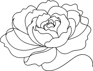 Modern Peony Single Line Drawing for Minimalist Decor