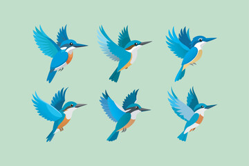 Obraz premium Belted Kingfisher Bird in flying movement vector artwork. eps