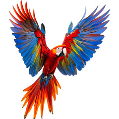 Fototapeta premium Macaw Parrot Spreading Wings on transparent background