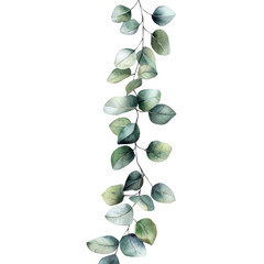 Watercolor Eucalyptus Garland Illustration