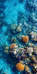 A stunning underwater scene featuring vibrant coral formations in crystal-clear turquoise waters, showcasing the beauty of marine life and colorful ecosystems.