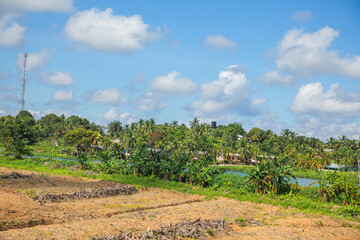 traditional Malaysian landscape along the road. Palm trees and power poles