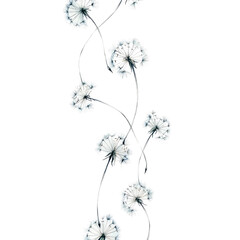 Delicate Dandelion Blooms in Black and White