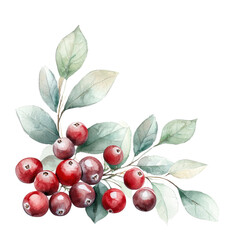 Watercolor Painting of a Branch with Red Berries and Green Leaves