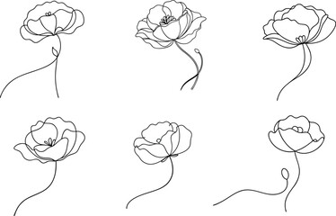Set of Poppy Flower Line Drawing Minimalist Artwork for Decor