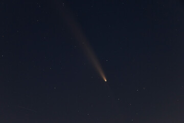 紫金山・アトラス彗星