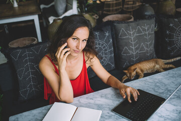 Confident woman multitasking on phone call and laptop, working from comfortable, modern home...