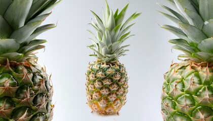 Fototapeta premium A close-up of the spiky pineapple leaves, with the fruit's body partially visible, placed on 