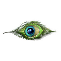 Fototapeta premium Peacock Feather Eye